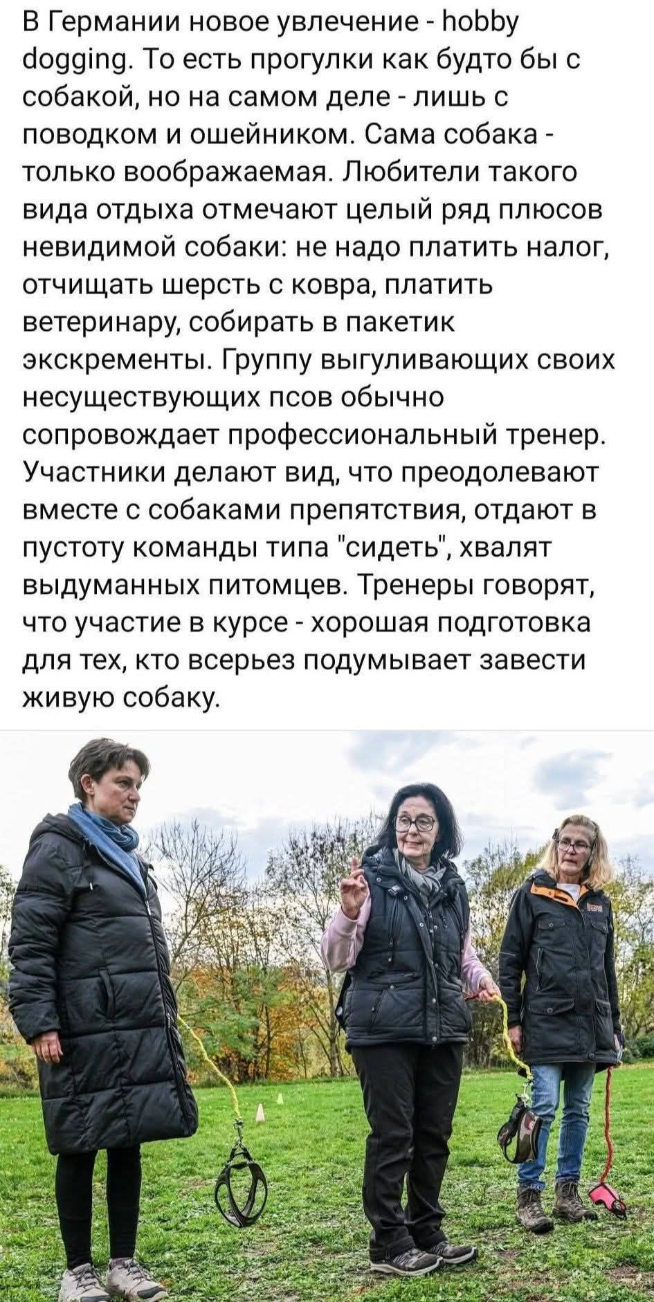 В Германии новое увлечение - hobby dogging.Это прогулки как будто бы с собакой, но на самом деле - лишь с поводком и ошейником. Сама собака - только невидимая. Любители такого вида отдыха отмечают плюсы невидимой собаки: не надо платить налог, отчищать шерсть с ковра, платить ветеринару, собирать в пакетик экскременты. Группа выгуливающих своих несуществующих псов обычно сопровождает тренер. Участники делают вид, что преодолевают препятствия, отдают команды типа 'сидеть'. Тренеры говорят, что участие в курсе — хорошая подготовка к живой собаке.