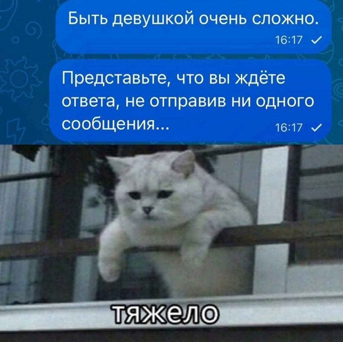 Быть девушкой очень сложно. Представьте, что вы ждёте ответа, не отправив ни одного сообщения...