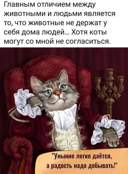 Главным отличием между животными и людьми является то, что животные не держат у себя дома людей... Хотя коты могут со мной не согласиться. 
