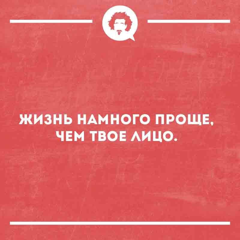 Жизнь намного проще, чем твоё лицо.