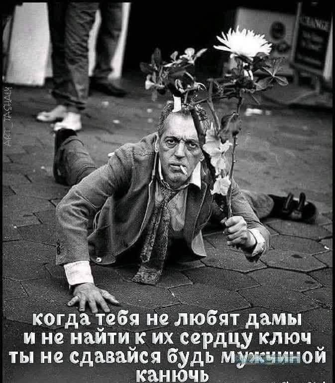 когда тебя не любят дамы и не найти к их сердцу ключ ты не сдавайся будь мужиной канючь