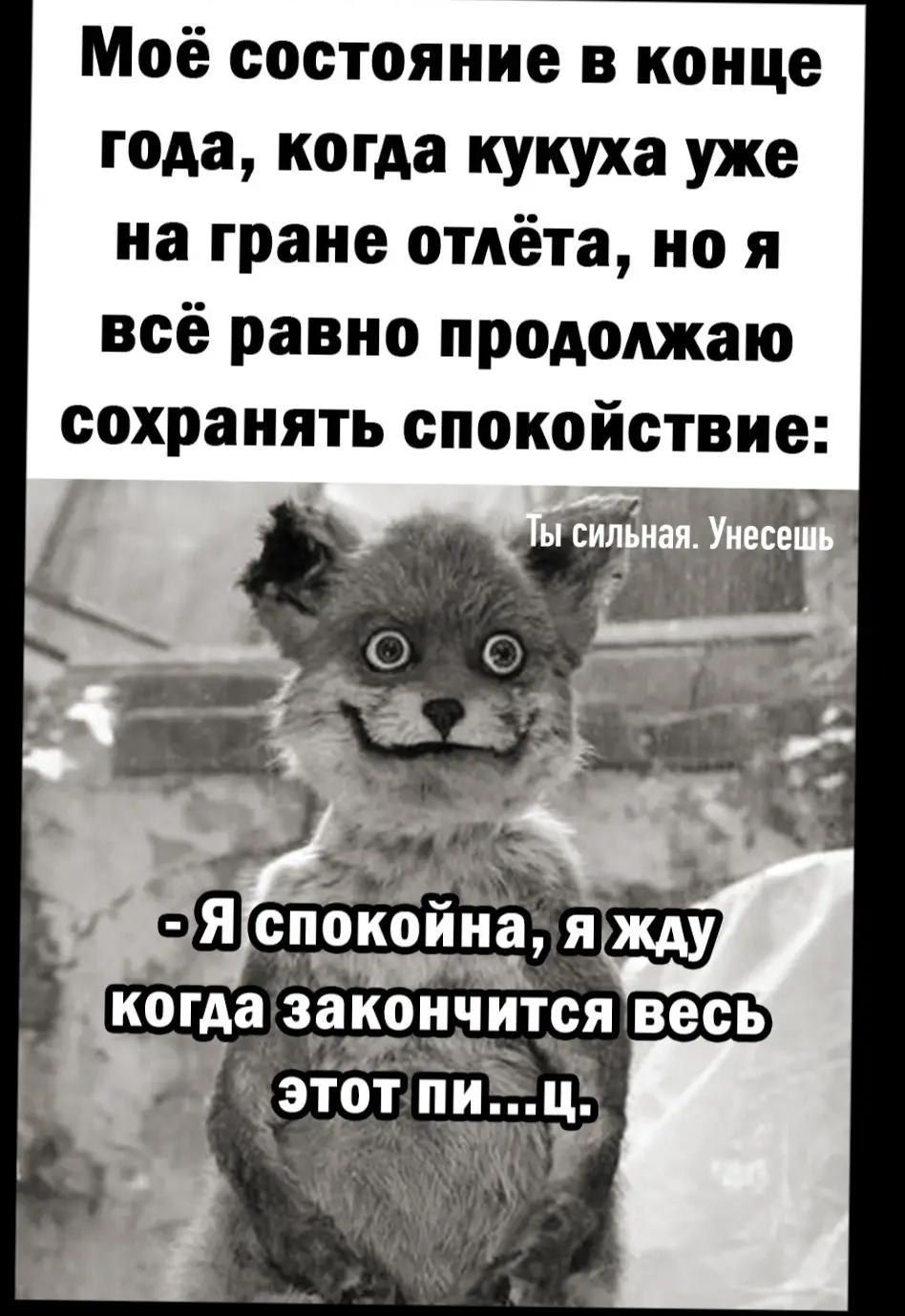 Моё состояние в конце года, когда кукуха уже на гране отлёта, но я всё равно продолжаю сохранять спокойствие: Ты сильная. Унесешь. - Я спокойна, я жду когда закончится весь этот пи...ц.