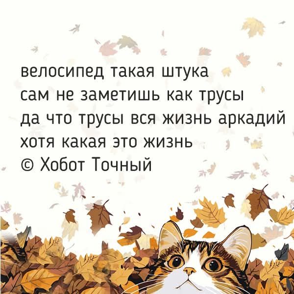 велосипед такая штука сам не заметишь как трусы да что трусы вся жизнь аркадий хоть какая это жизнь © Хобот Точный