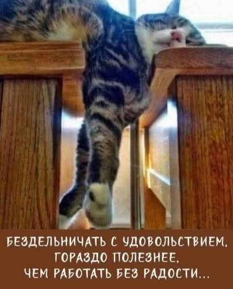 БЕЗДЕЛЬНИЧАТЬ С УДОВОЛЬСТВИЕМ, ГОРАЗДО ПОЛЕЗНЕЕ, ЧЕМ РАБОТАТЬ БЕЗ РАДОСТИ...