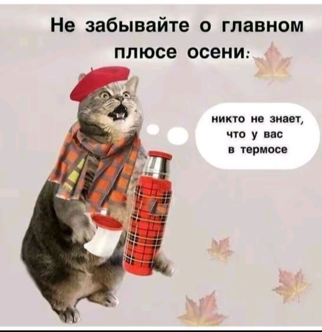 Не забывайте о главном плюсе осени: никто не знает, что у вас в термосе