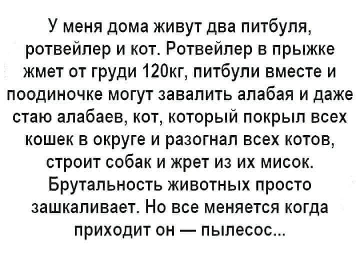 У меня дома живут два питбуля, ротвейлер и кот. Ротвейлер в прыжке жмёт от груди 120кг, питбули вместе и поодиночке могут завалять алабаев, кот, который покрыл всех кошек в округе и разогнал всех котов, строит собак и жрет из их мисок. Брутальность животных просто зашкаливает. Но все меняется когда приходит он — пылесос...