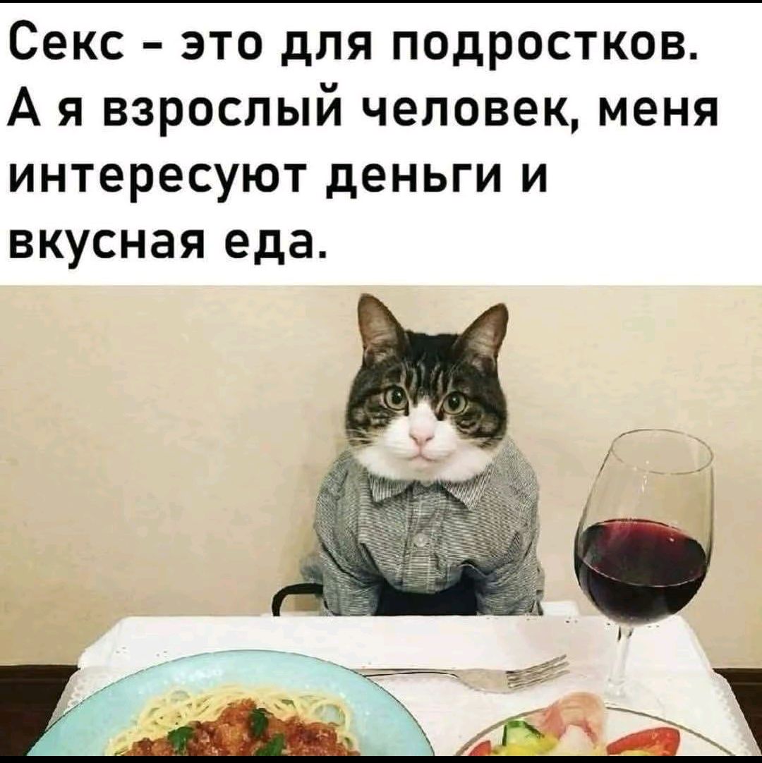 Секс - это для подростков. А я взрослый человек, меня интересуют деньги и вкусная еда.