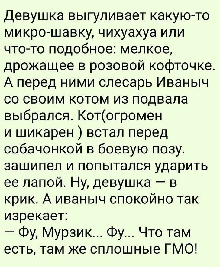 Девушка выгуливает какую-то микро-шавку, чихухауa или что-то подобное: мелкое, дрожащее в розовой кофточке. А перед ними слесарь Иваныч со своим котом из подвала выбрался. Кот(огромен и шикарен ) встал перед собачонкой в боевую позу. зашипел и попытался ударить ее лапой. Ну, девушка — в крик. А Иваныч спокойно так изрекает: — Фу, Мурзик... Фу... Что там есть, Там же сплошные ГМО!