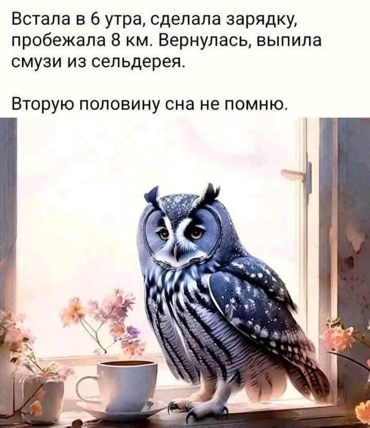 Встала в 6 утра, сделала зарядку, пробежала 8 км. Вернулась, выпила смузи из сельдерея. Вторую половину сна не помню.