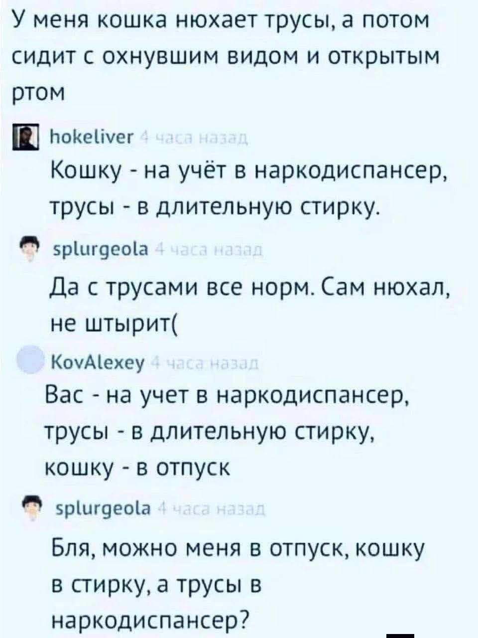 У меня кошка нюхаает трусы, а потом сидит с охнувшим видом и открытым ртом
Кошку - на учёт в наркодиспансер, трусы - в длительную стирку.
Да с трусами все норм. Сам нюхал, не штырит(
Вас - на учёт в наркодиспансер, трусы - в длительную стирку, кошку - в отпуск
Бля, можно меня в отпуск, кошку в стирку, а трусы в наркодиспансер?