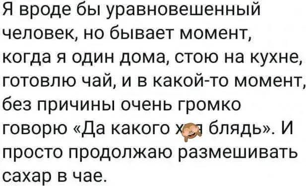 Я вроде бы уравновешенный человек, но бывает момент, когда я один дома, стою на кухне, готовлю чай, и в какой-то момент, без причины очень громко говорю «Да какого х✦блядь». И просто продолжаю размешивать сахар в чае.