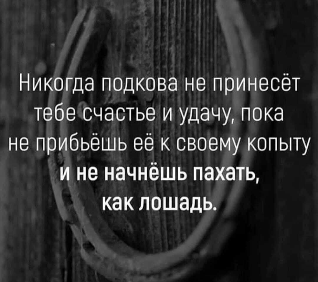 Никогда подкова не принесёт тебе счастье и удачу, пока не прибьёшь её к своему копыту и не начнёшь пахать, как лошадь.