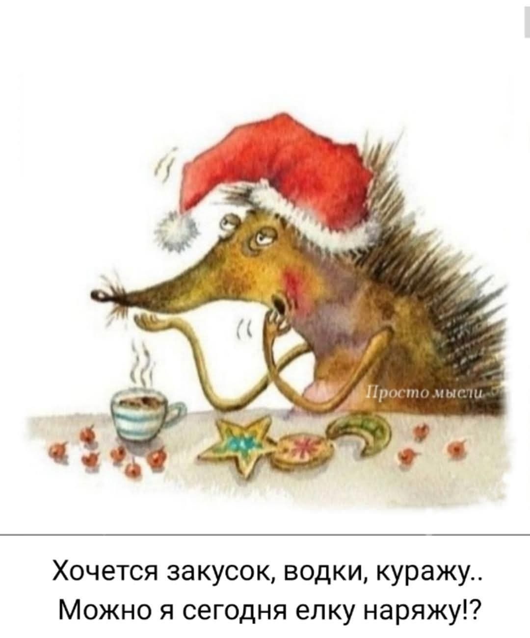 Хочется закусок, водки, куражу.. Можно я сегодня елку наряжу!?