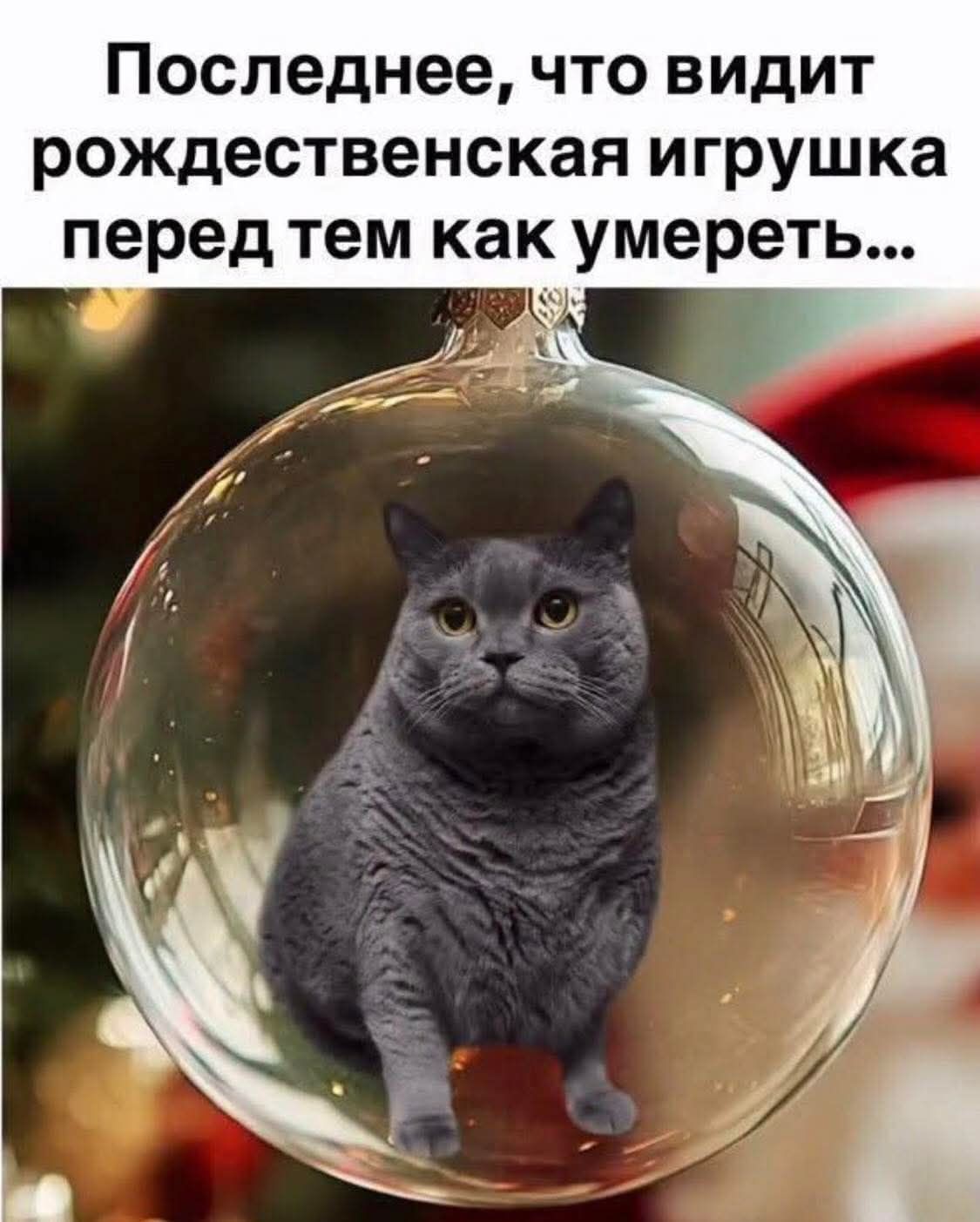 Последнее, что видит рождественская игрушка перед тем как умереть...