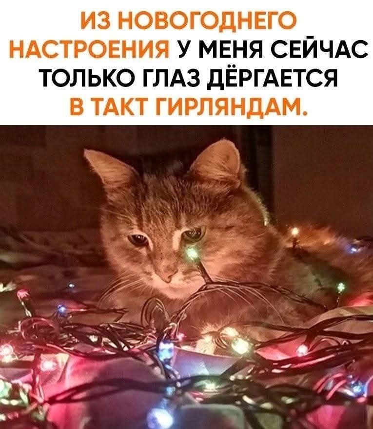ИЗ НОВОГОДНЕГО НАСТРОЕНИЯ У МЕНЯ СЕЙЧАС ТОЛЬКО ГЛАЗ ДЁРГАЕТСЯ В ТАКТ ГИРЛЯНДАМ.