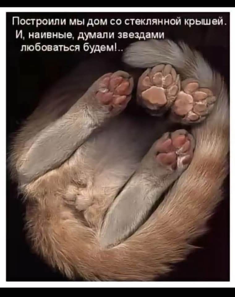 Построили мы дом со стеклянной крышей. И, наивные, думали, звёздами любоваться будем!..