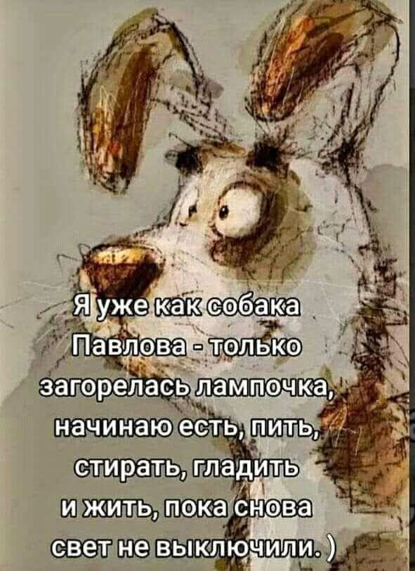 Я уже как собака Павлова - только загорелась лампочка, начинаю есть, пить, стирать, гладить и жить, пока снова свет не выключили.)