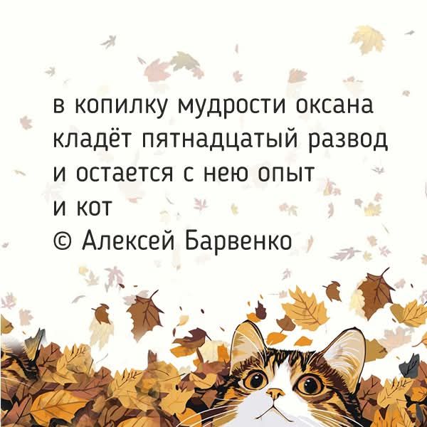 В копилку мудрости оксана кладёт пятнадцатый развод и остается с нею опыт и кот © Алексей Барвенко