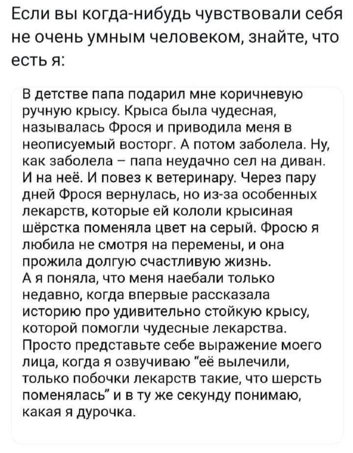 Если вы когда-нибудь чувствовали себя не очень умным человеком, знайте, что есть я: В детстве папа подарил мне коричневую ручную крысу. Крыса была чудесная, называлась Фрося и приводила меня в неповторимую улыбку. А потом заболела — папа неудачно сел на диван. И на неё. Через пару дней Фрося вернулась, но из-за лекарств шерстка поменяла цвет на серый.
