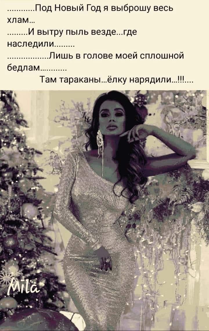 Под Новый Год я выброшу весь хлам... И вытру пыль везде... где наследили... Лишь в голове моей сплошной бедлам... Там тараканы... ёлку нарядили...!!!