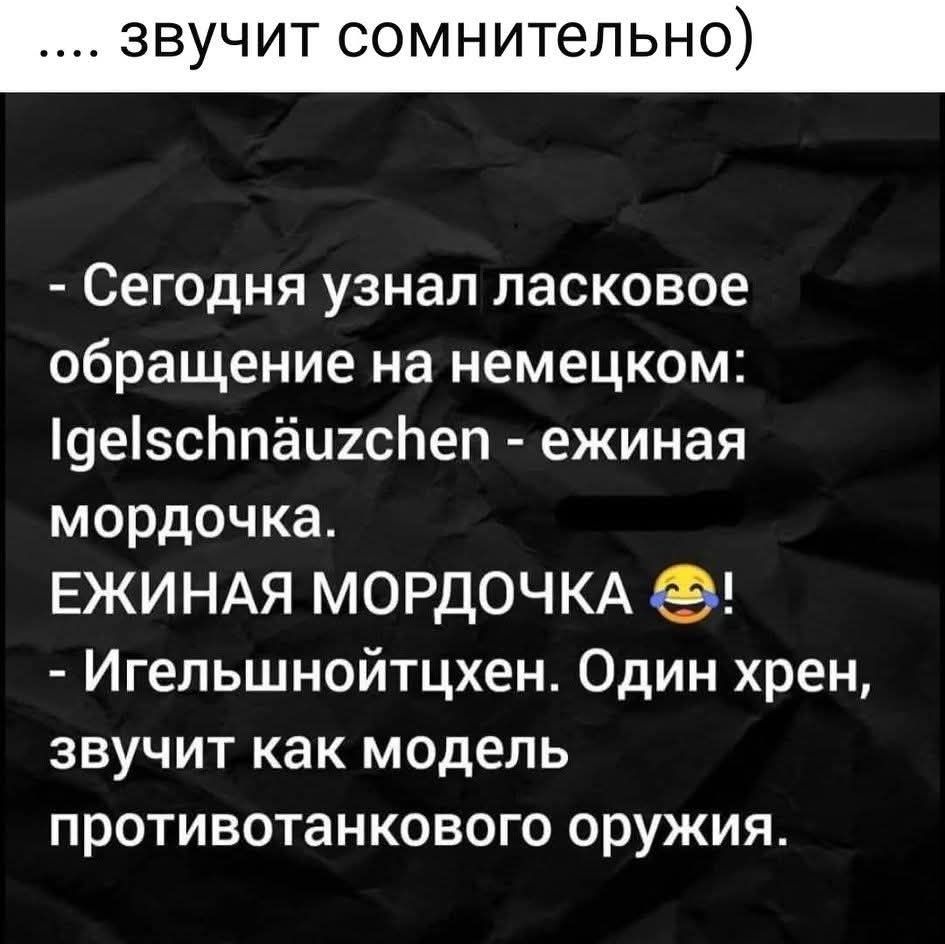 Сегодня узнал ласковое обращение на немецком: Igelschnäuzchen - ёжинaя мордочка. ЕЖИНАЯ МОРДОЧКА 😂! - Игельшнойтцен. Один хрен, звучит как модель противотанкового оружия.