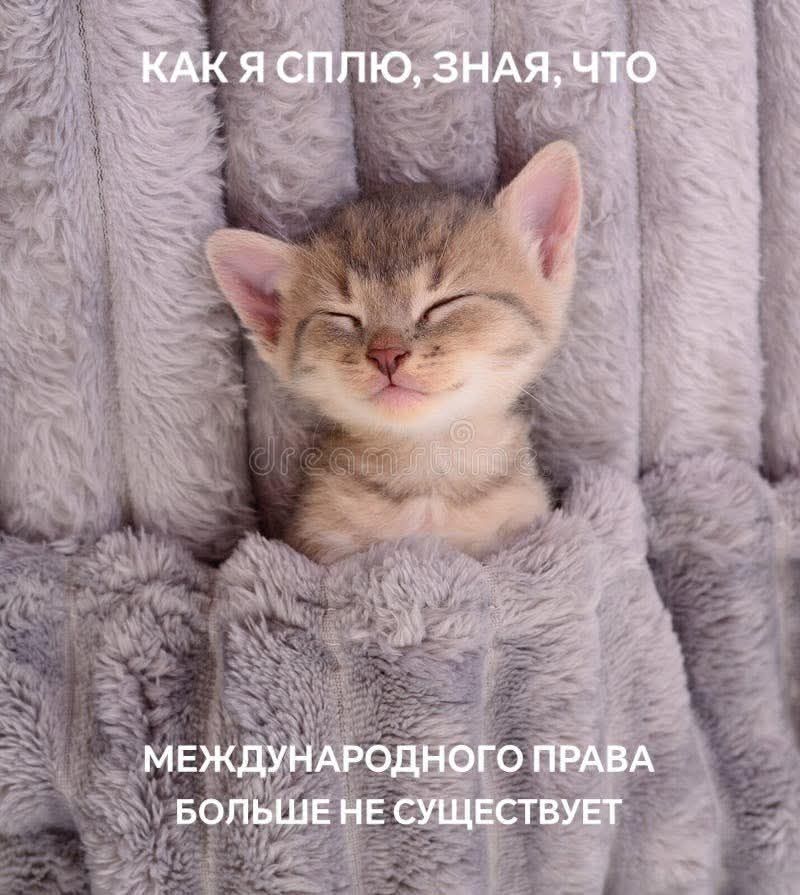 КАК Я СПЛЮ, ЗНАЯ, ЧТО МЕЖДУНАРОДНОГО ПРАВА БОЛЬШЕ НЕ СУЩЕСТВУЕТ