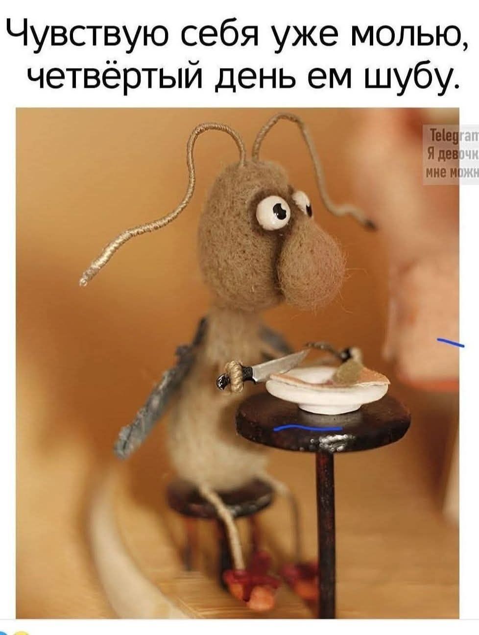 Чувствую себя уже молю, четвёртый день ем шубу.