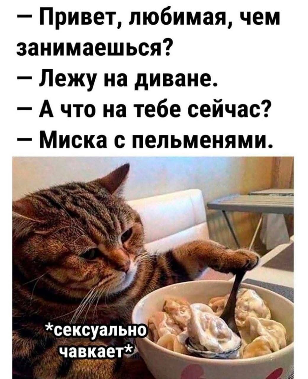 - Привет, любимая, чем занимаешься? - Лежу на диване. - А что на тебе сейчас? - Миска с пельменями. *сексуально чавкает*