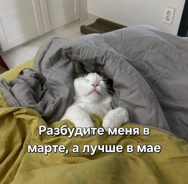 Разбудите меня в марте, а лучше в мае