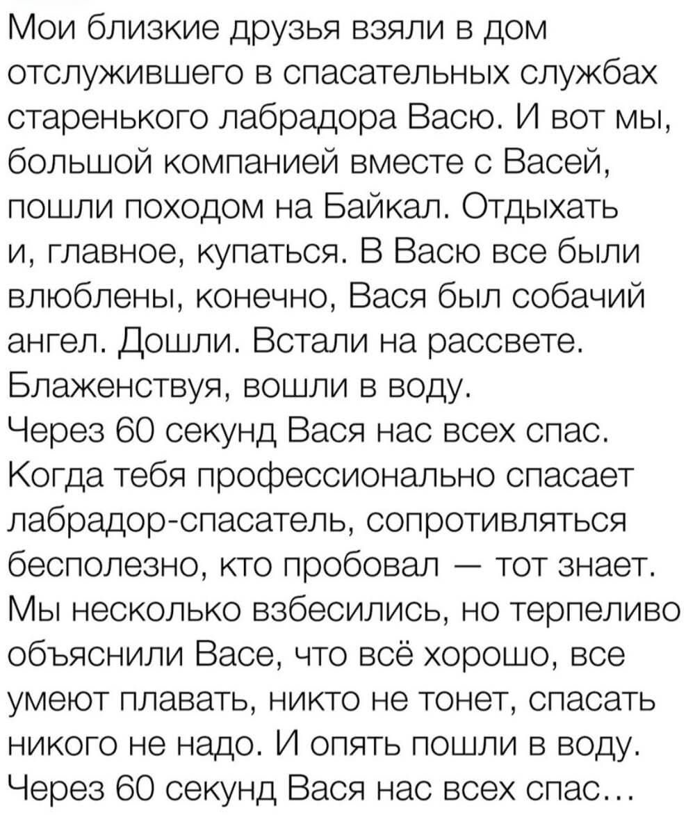 Мои близкие друзья взяли в дом
отслужившего в спасательных СПУЖбЭХ
старенького лабрадора Васю. И вот мы,
большой компанией вместе с Васей,
пошли походом на Байкал. Отдыхать

и, главное, купаться. В Васю все были
влюблены, конечно, Вася был собачий
ангел. Дошли. Встали на рассвете.
Блаженствуя, вошли в воду.

Через 60 секунд Вася нас всех спас.
Когда тебя профессионально спасает
лабрадор-спасатель, сопротивляться
бесполезно, кто пробовал — тот знает.
Мы несколько взбесились, но терпеливо
объяснили Васе, что всё хорошо, все
умеют плавать, никто не тонет, спасать
никого не надо. И опять пошли в воду.
Через 60 секунд Вася нас всех спеас...
