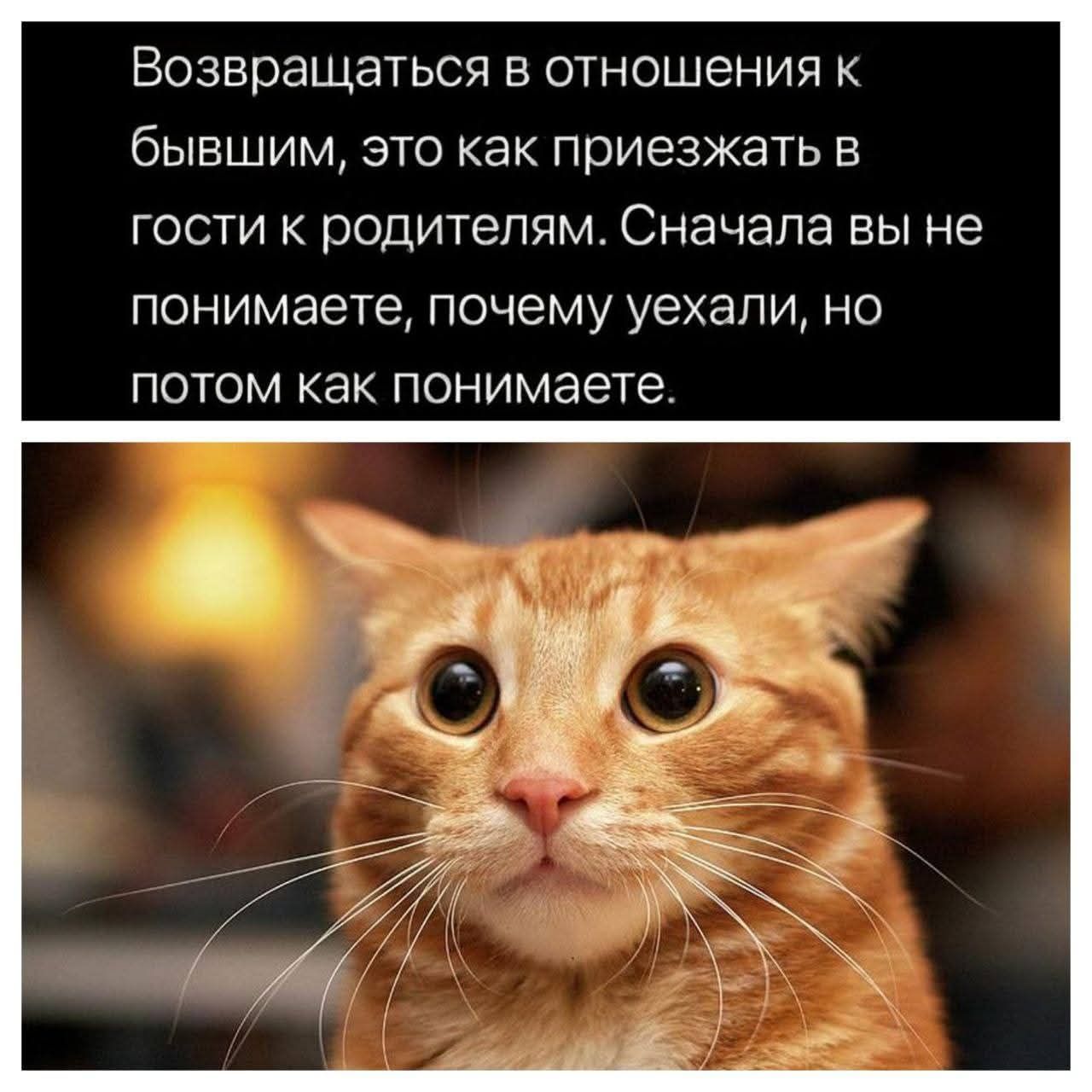 Возвращаться в отношения к
бЫВШИМ‚ это как приезжать в
гости к родителям. Сначала вы не
понимаете, почему уехали, но
потом как понимаете.

