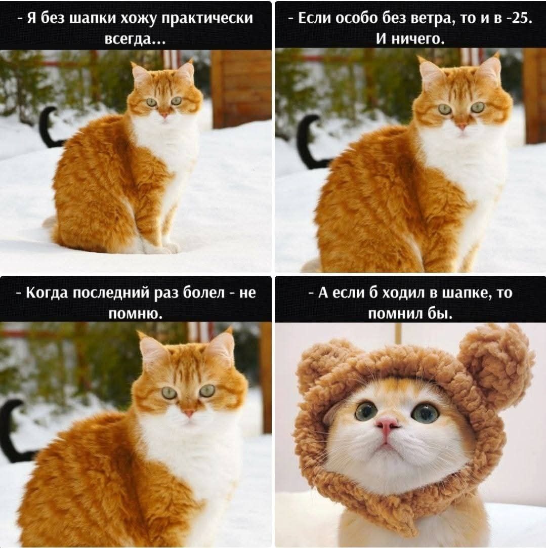 я без шапки хожу практически всегда... - Если особо без ветра, то и в -25. И ничего. - Когда последний раз болел - не помню. - А если б ходил в шапке, то помнил бы.