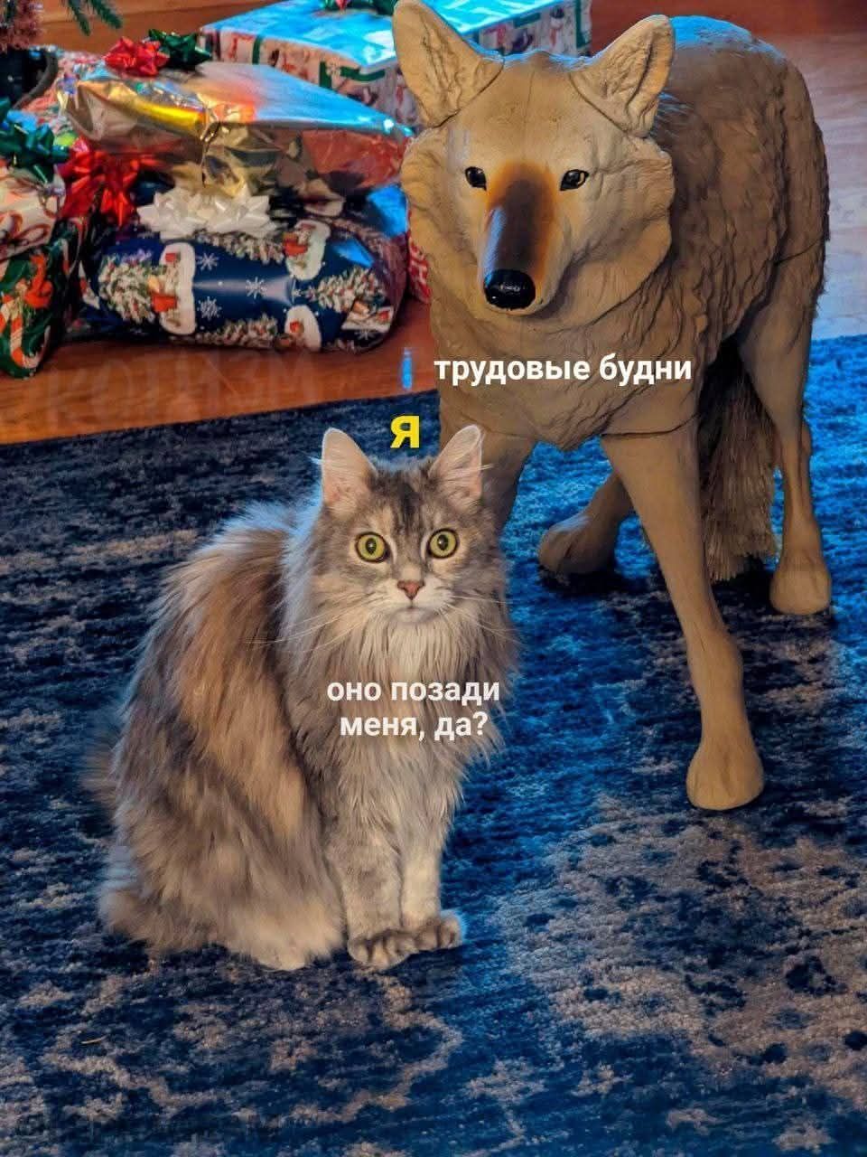 I трудовые будни
Я
оно позади меня, да?