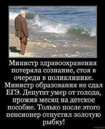 Министр здравоохранения потеряла сознание, стоя в очереди в поликлинике. Министр образования не сдал ЕГЭ. Депутат умер от голода, прожив месяц на детское пособие. Только после этого пенсионер отпустил золотую рыбку!