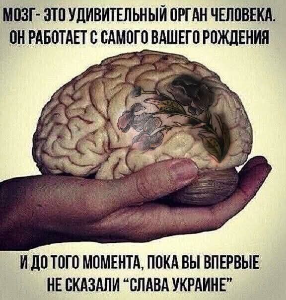 МОЗГ - ЭТО УДИВИТЕЛЬНЫЙ ОРГАН ЧЕЛОВЕКА. ОН РАБОТАЕТ С САМОГО ВАШЕГО РОЖДЕНИЯ И ДО ТОГО МОМЕНТА, ПОКА ВЫ ВПЕРВЫЕ НЕ СКАЗАЛИ 
