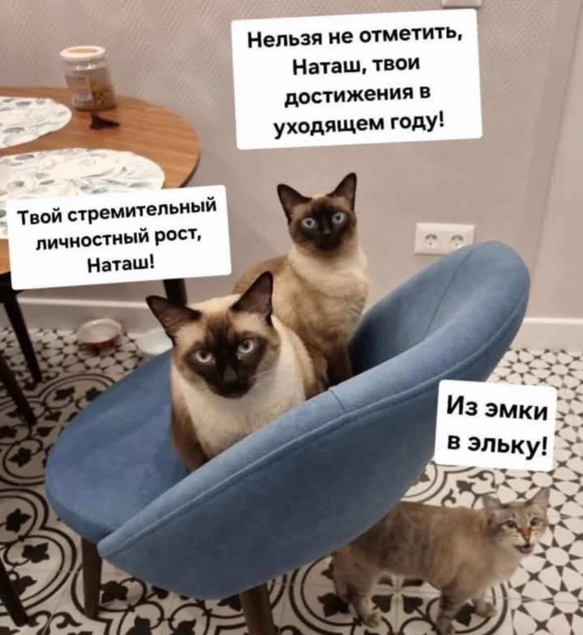 Нельзя не отметить, Наташ, твои достижения в уходящем году! Твой стремительный личностный рост, Наташ! Из эмки в эльку!