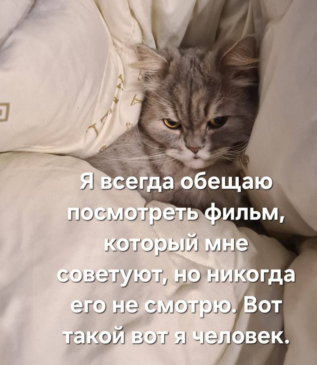 Я всегда обещаю посмотреть фильм, который мне советуют, но никогда его не смотрю. Вот такой вот я человек.