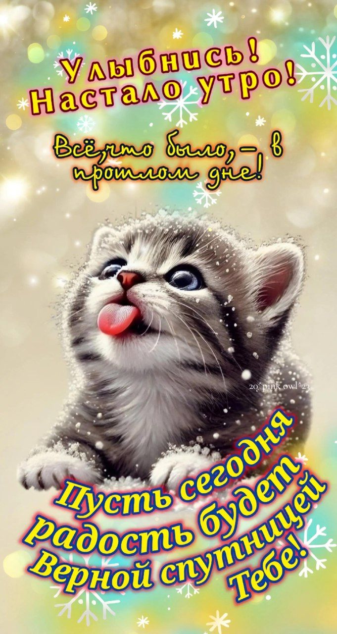 Улыбнись! Настало утро! Всё было — в прошлом дне! Пусть сегодня радость будет верной спутницей тебе!