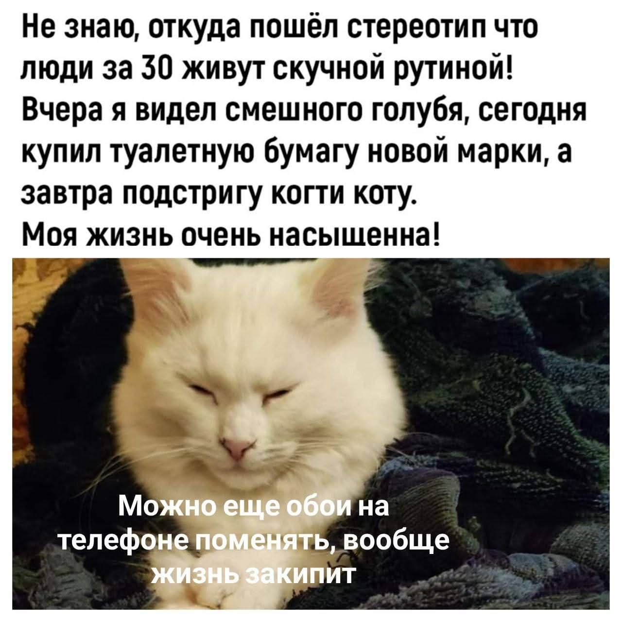 Не знаю, откуда пошёл стереотип что люди за 30 живут скучной рутиной! Вчера я видел смешного голубя, сегодня купил туалетную бумагу новой марки, а завтра подстригу когти коту. Моя жизнь очень насыщенная! Можно еще обои на телефон поменять, вообще жизнь закипит