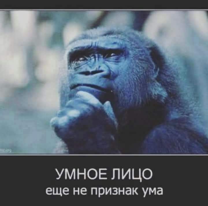 УМНОЕ ЛИЦО ещё не признак ума
