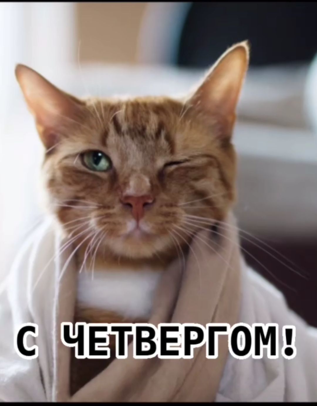 С ЧЕТВЕРГОМ!