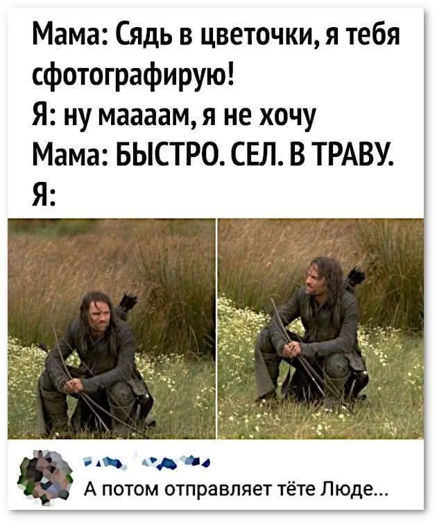 Мама: Сядь в цветочки, я тебя сфотографирую! Я: ну мааам, я не хочу Мама: БЫСТРО. СЕЛ. В ТРАВУ. Я: А потом отправляет тёте Люде...