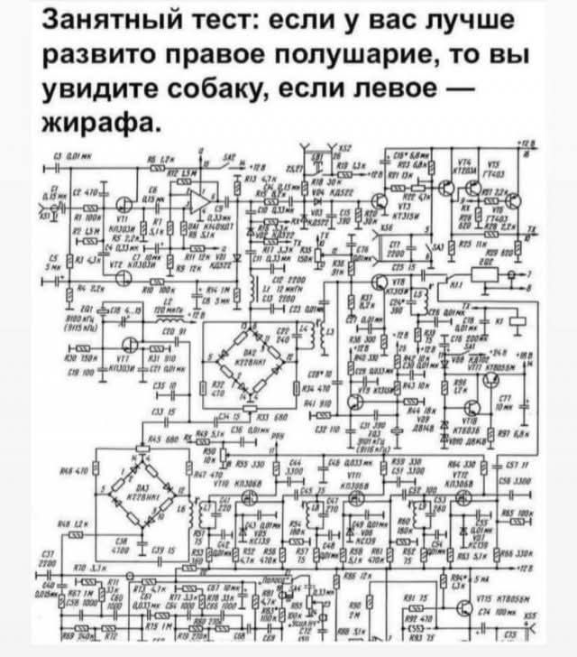 Занятный тест: если у вас лучше развито правое полушарие, то вы увидите собаку, если левое — жирафа.