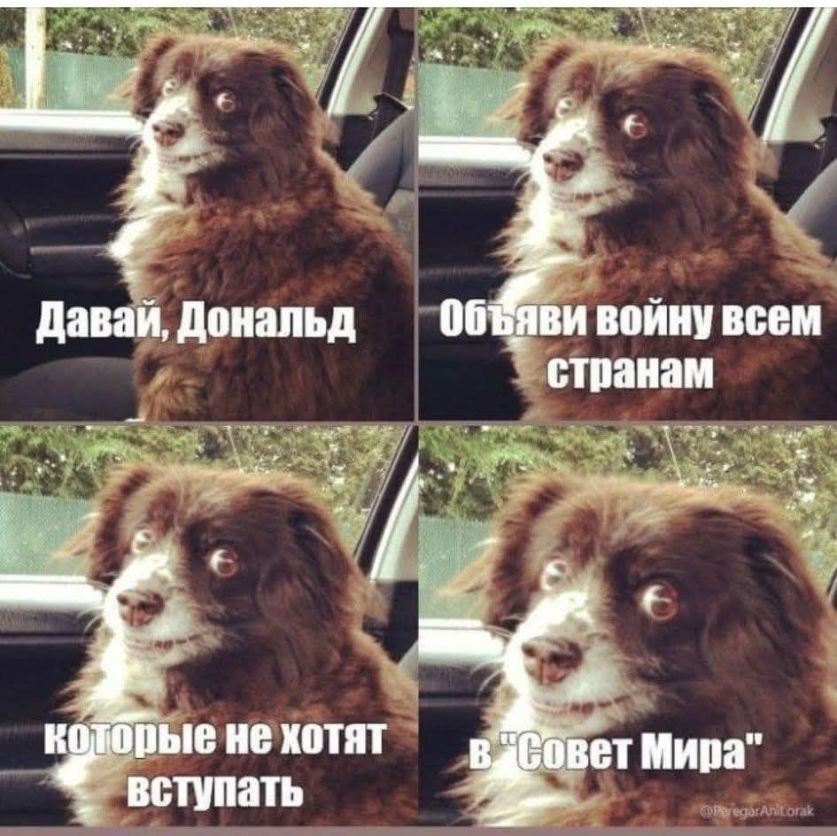 Давай, Дональд Объяви войну всем странам которые не хотят вступать в 'Совет Мира'