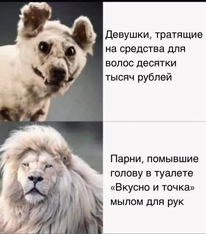 Девушки, тращающие на средства для волос десятки тысяч рублей. Парни, помывшие голову в туалете «Вкусно и точка» мылом для рук