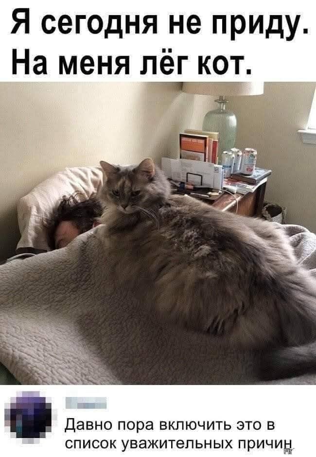 Я сегодня не приду. На меня лёг кот.
Давно пора включить это в список уважительных причин