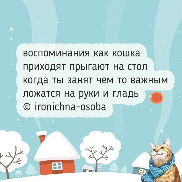 ВОСПОМИНАНИЯ как кошка приходят прыгают на стол когда ты занят чем то важным ложатся на руки и гладят