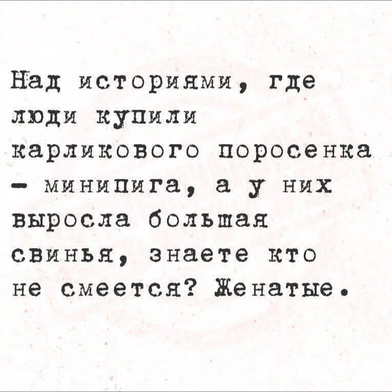 Над историями, где люди купили карликового поросенка - минипинга? а у них выросла большая свинья, знаете кто не смеется? Женатые.