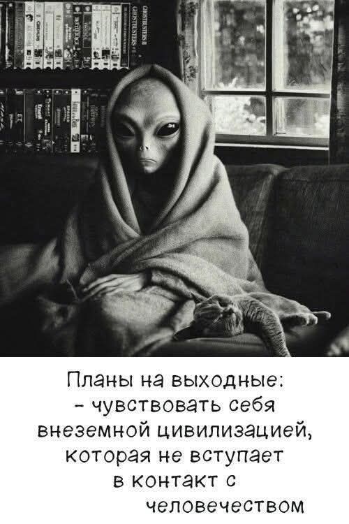 Планы на выходные: - чувствовать себя внеземной цивилизацией, которая не вступает в контакт с человечеством