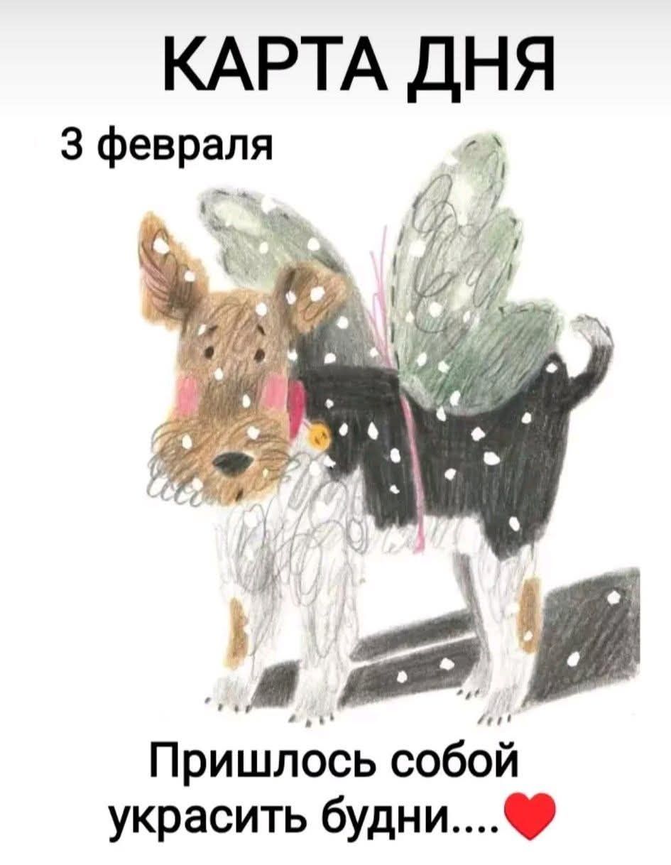 КАРТА ДНЯ
3 февраля
Пришлось собой украсить будни....❤️